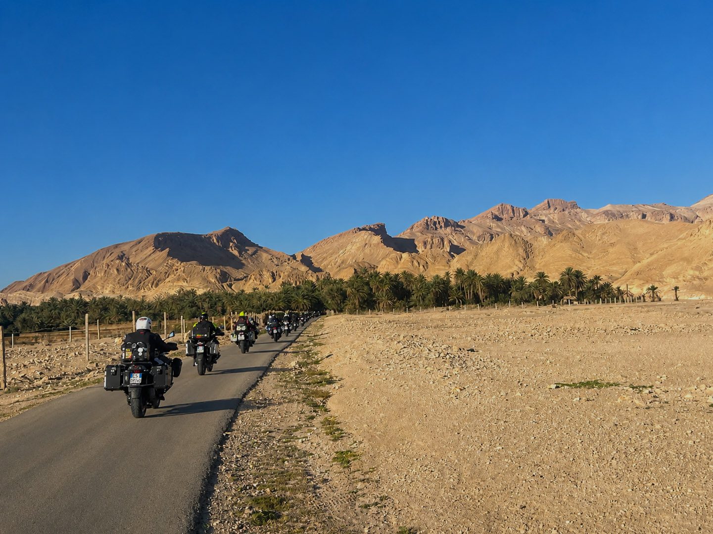 La pista tra le palme verso l'oasi