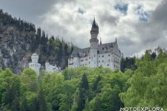 Immagine-WhatsApp-2025-05-04-ore-17.52.32_4a5d746a