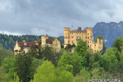 Immagine-WhatsApp-2025-05-04-ore-17.52.45_45af2923