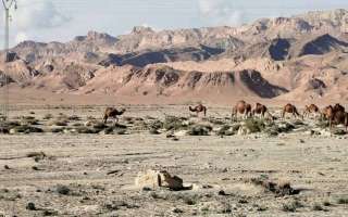 Capodanno-Motoexplora-tunisia-2025-27