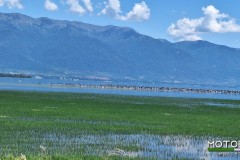 alexander-the-great-05062025c-5