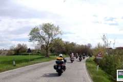 Marche: Marzo 2013