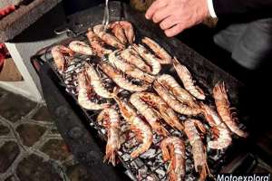 Marche: Ottobre 2014