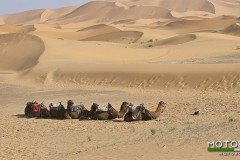 marocco-aprile-2025-foto-w-45