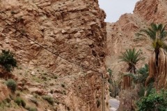 marocco-aprile-2025-foto-w-50