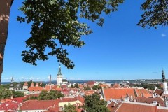 baltiche-agosto-2025-11