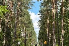 baltiche-agosto-2025-41