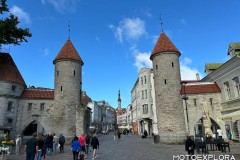 baltiche-agosto-2025-9