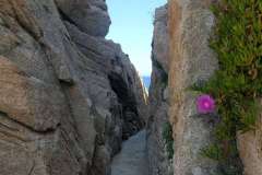 Sardegna, 14 Maggio 2022