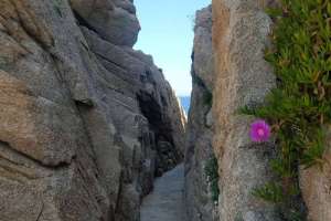 Sardegna, 14 Maggio 2022