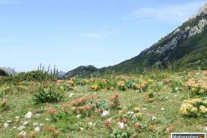 Sicilia: Maggio 2012