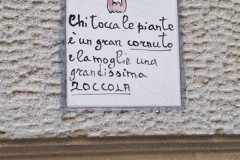 Sicilia-ottobre-2025-17