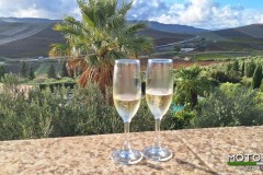 Sicilia-ottobre-2025-71