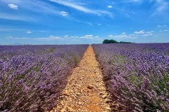 spagna-e-costa-azzurra-giugno-2025-25