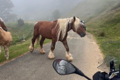 spagna-e-costa-azzurra-giugno-2025-33