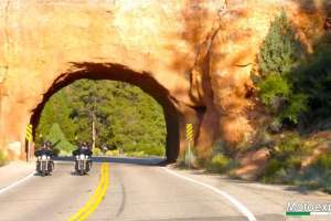 Stati Uniti: Aprile 2017