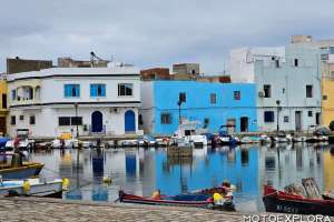 Tunisia, 4 Marzo 2023