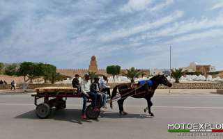 Tunisia-aprile-sei-2024-20