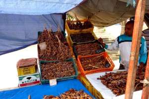 Tunisia: Aprile 2010