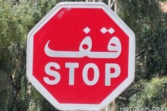 1_tunisia-aprile-2025-w-14