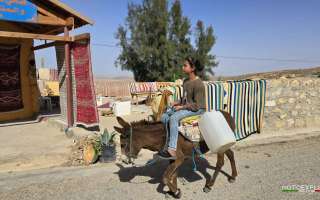 Tunisia-marzo-2025-123