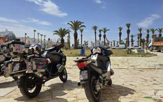 Tunisia-marzo-2025-153