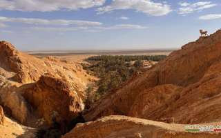 Tunisia-marzo-2025-55