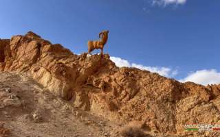 Tunisia-marzo-2025-56