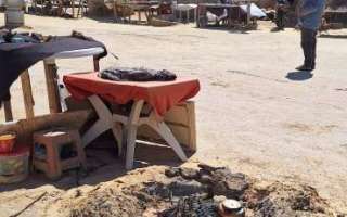 Tunisia-marzo-2025-68