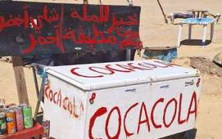 Tunisia-marzo-2025-71