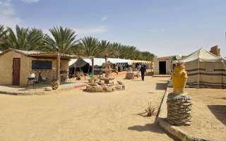 Tunisia-marzo-2025-99