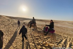 Tunisia-novembre-2025-1