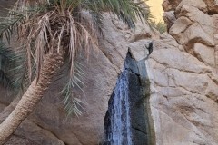 Tunisia-1-settembre-2025-5